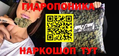 стаф Обь