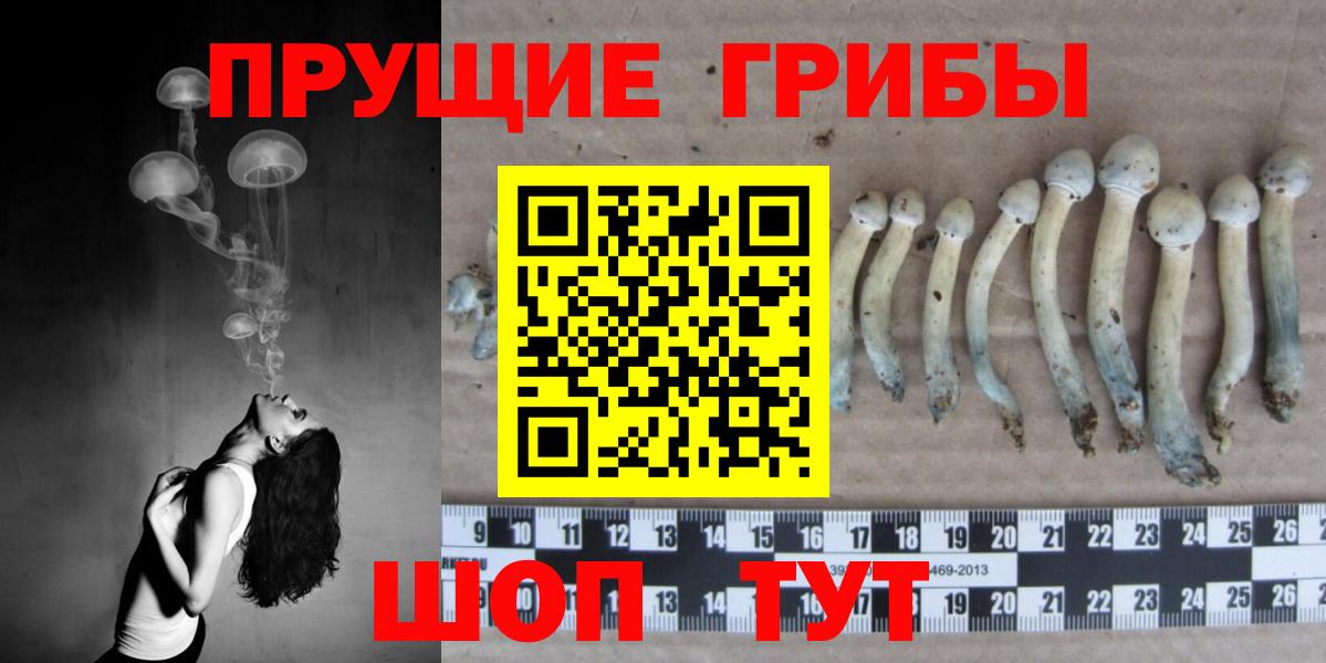 Тула  Псилоцибиновые грибы MAGIC MUSHROOMS  Вход с VPN 